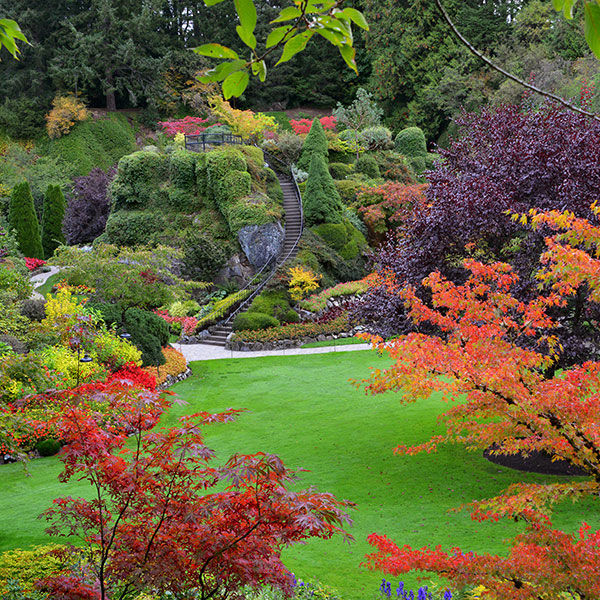 Autumn at The Butchart Gardens