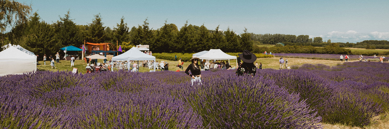 Jardin du Soleil Lavender Farm