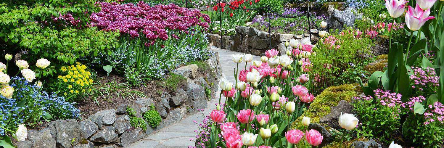 Spring at The Butchart Gardens