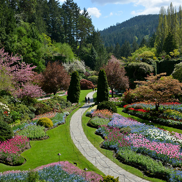 The Butchart Gardens