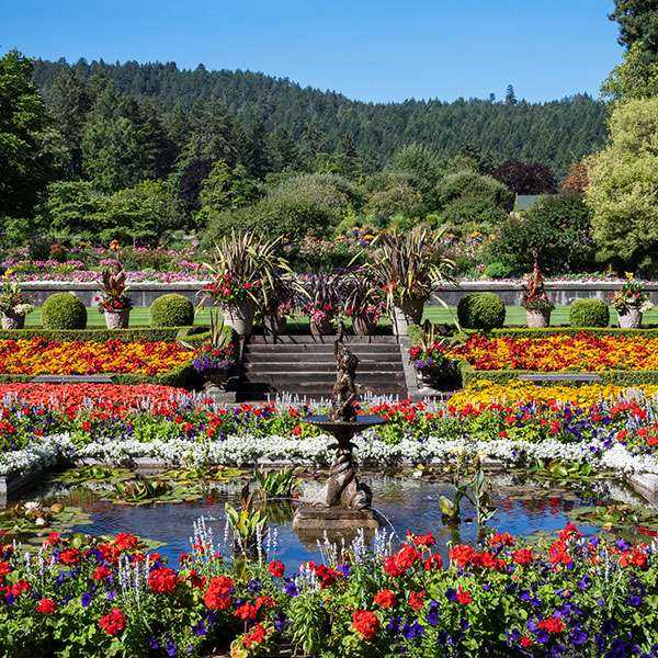 Summer at The Butchart Gardens