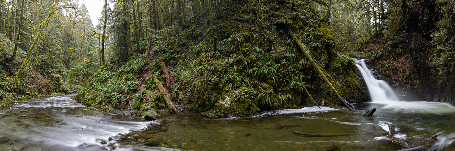 Goldstream Park