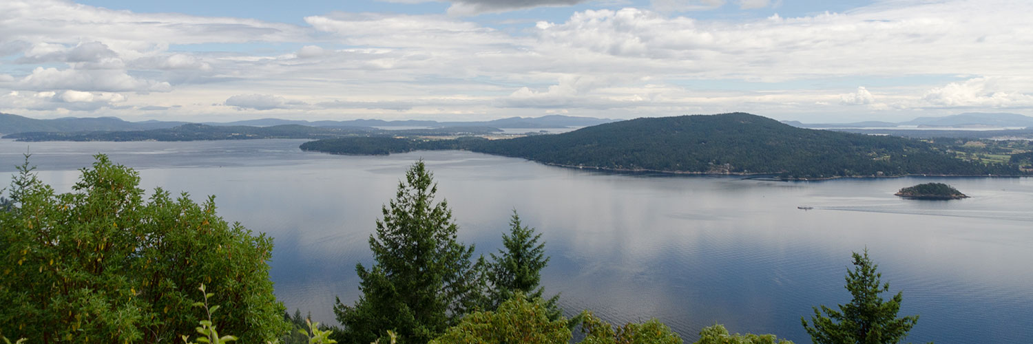 Malahat Skywalk