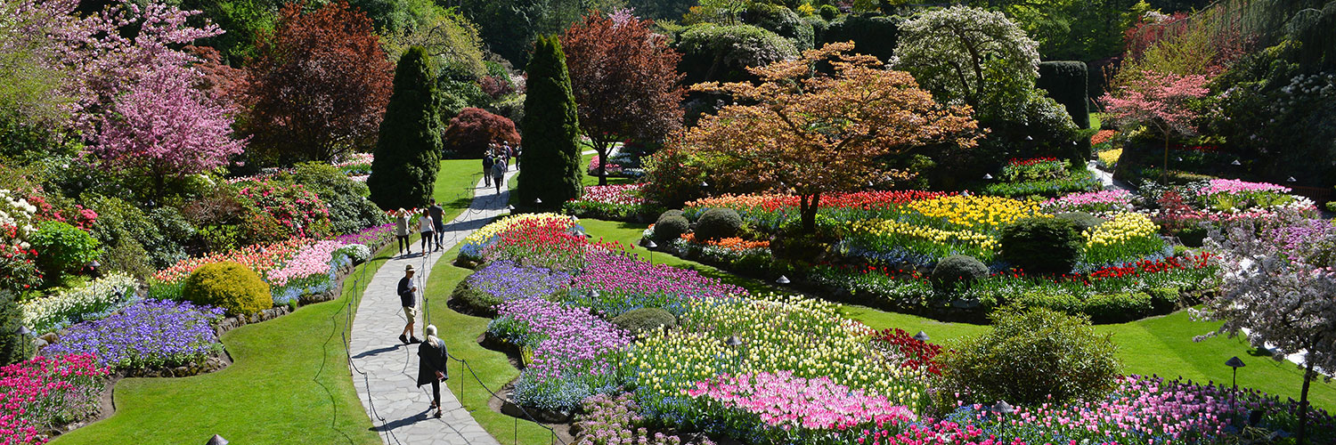 Spring at The Butchart Gardens