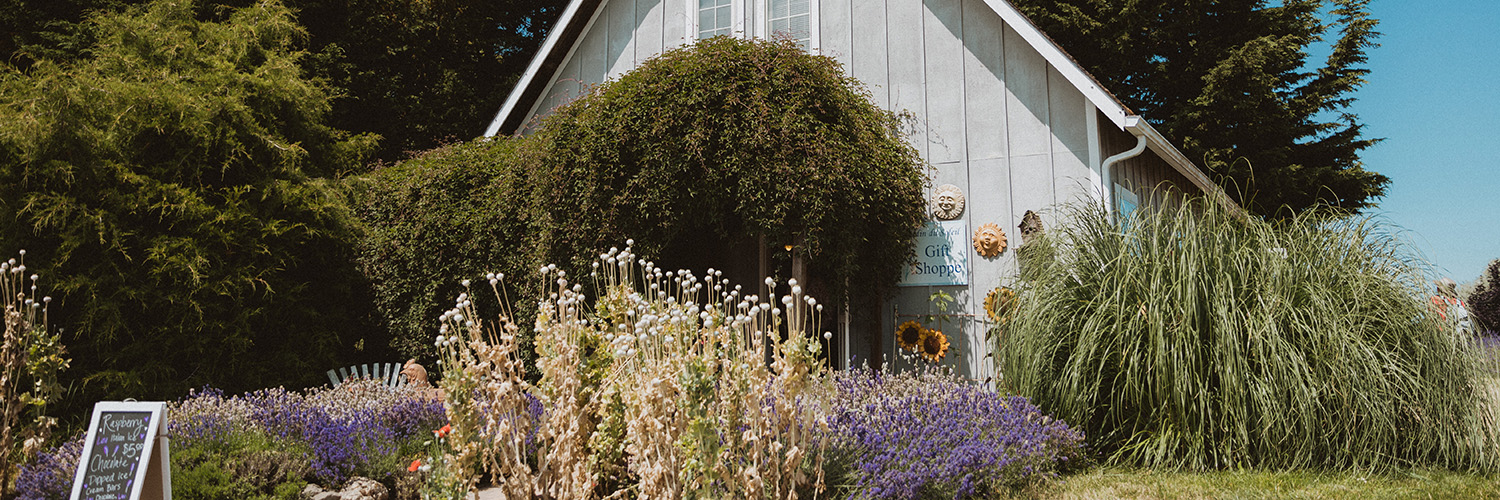 Jardin du Soleil Lavender Farm