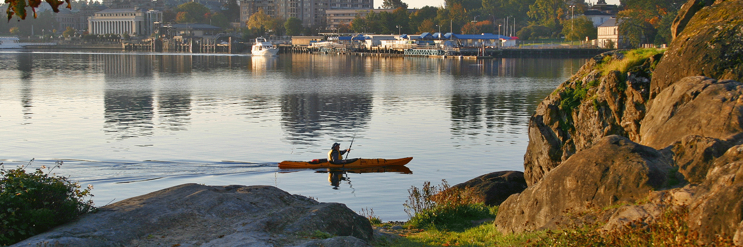 Inner Harbor Kayaker