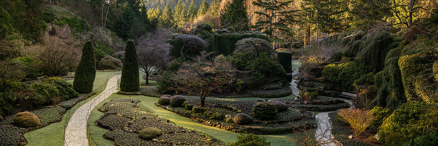 Winter Light at The Butchart Gardens