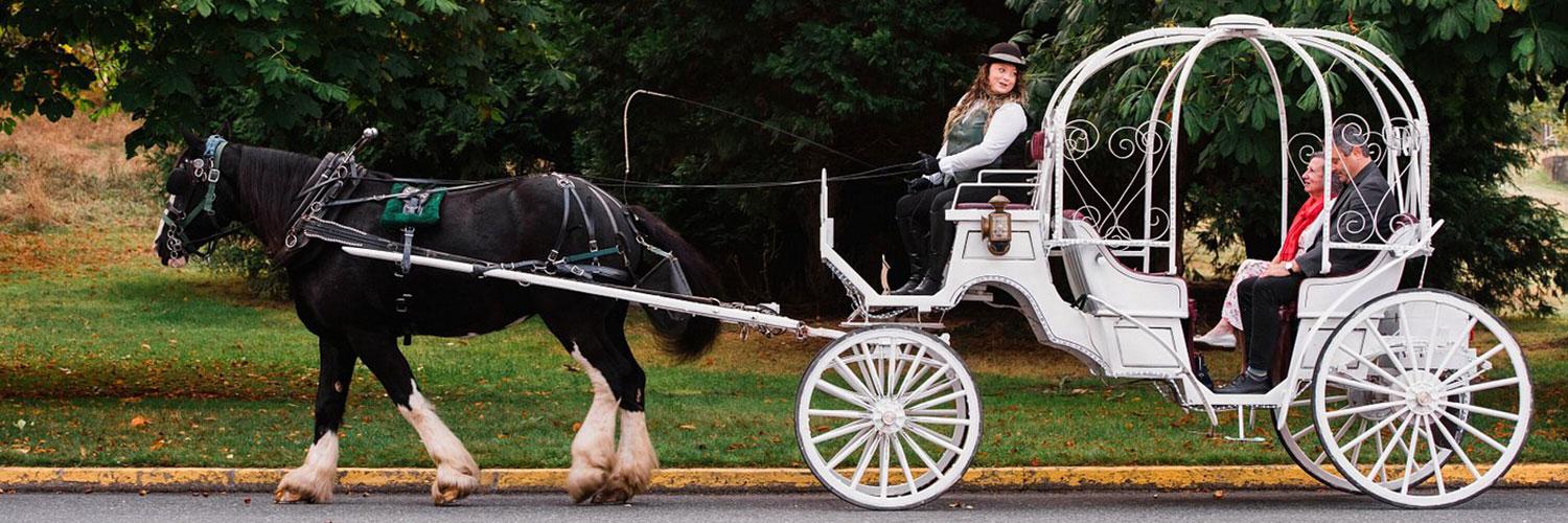 Carriage tour through Beacon Hill Park in Victoria, BC