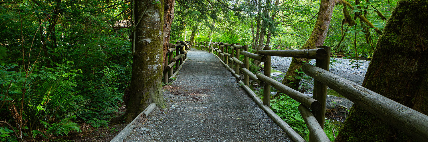 Goldstream Park in Victoria, BC