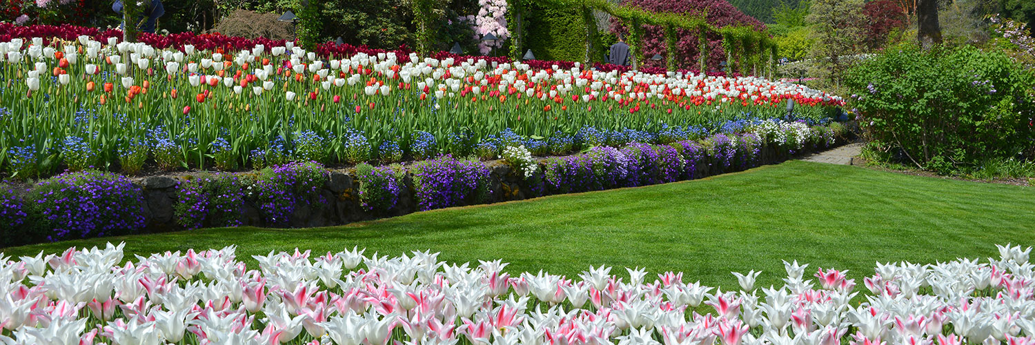 Spring at The Butchart Gardens