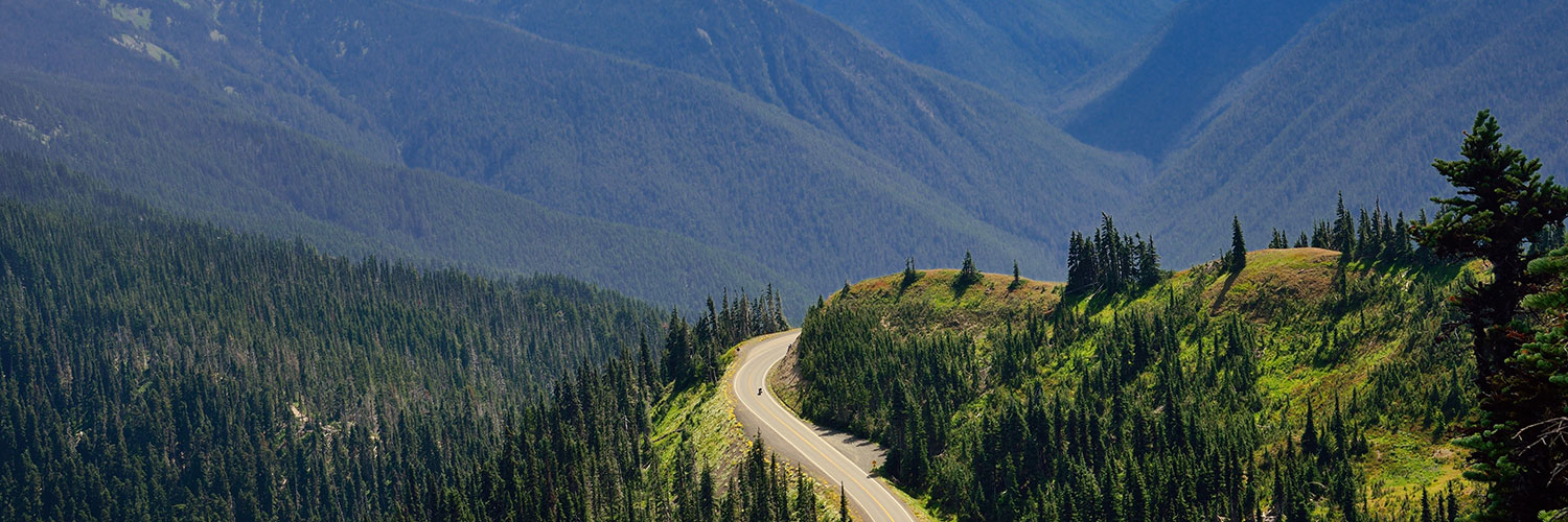 road to Hurricane Ridge in Olympic National Park