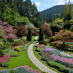 Butchart Spring