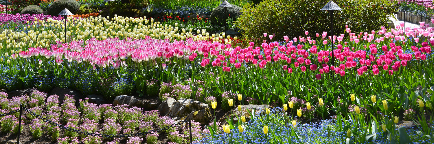 Spring-(7)-(1)