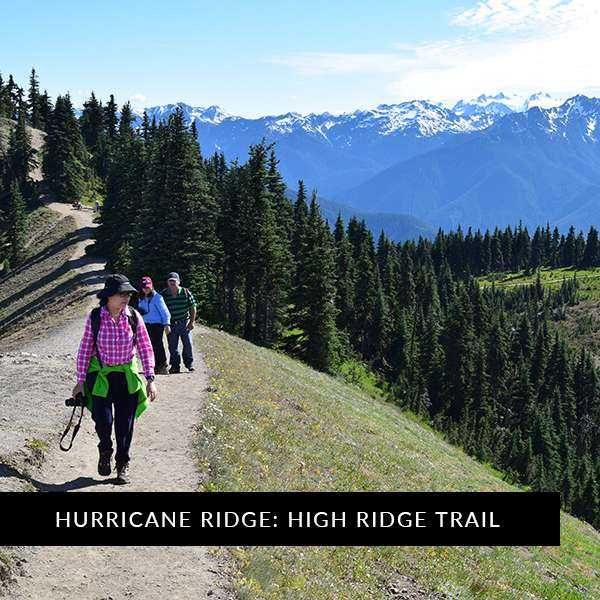 Olympic National Park Tours with Olympic Hiking Co | Black ...