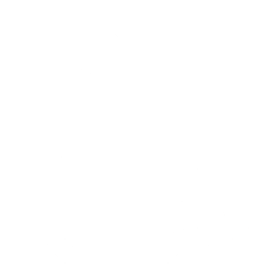 wheelchair availability at Black Ball Ferry Line