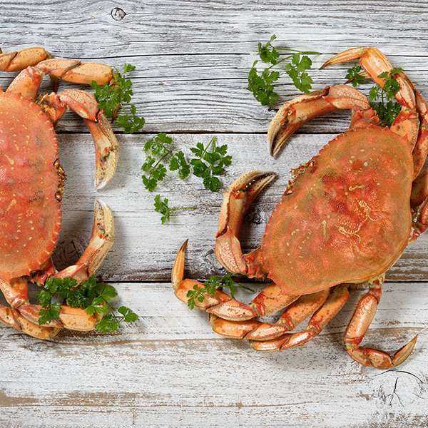 Crabfest Saturday Crab Feed with Ferry Tickets Black Ball Ferry Line