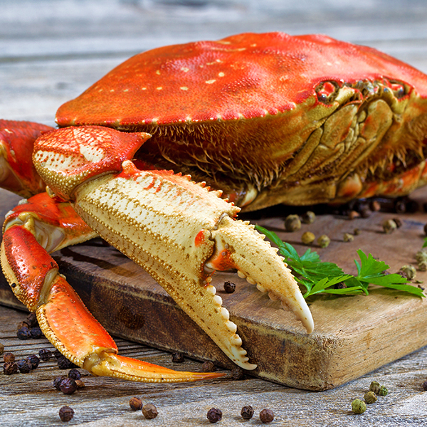 Dungeness Crab & Seafood Festival Packages Black Ball Ferry Line