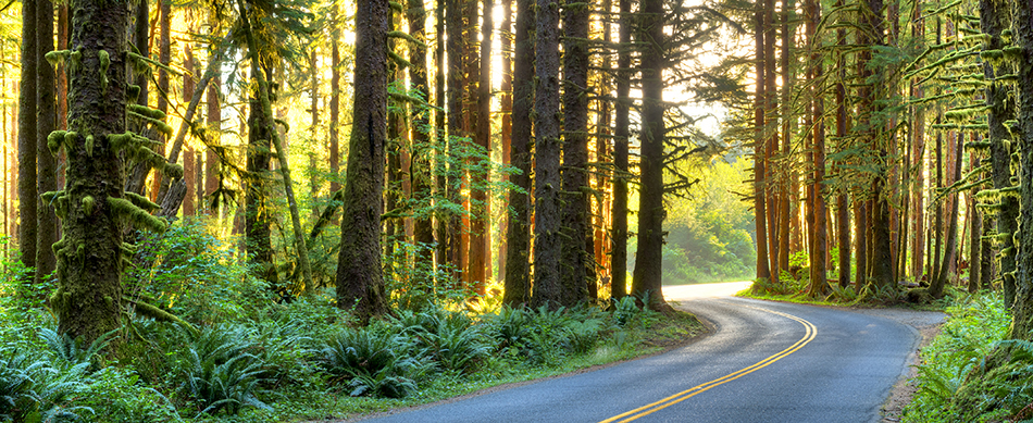 Enterprise Car Rental Bainbridge Island Wa Enterprise Car Rental Bainbridge Island Wa