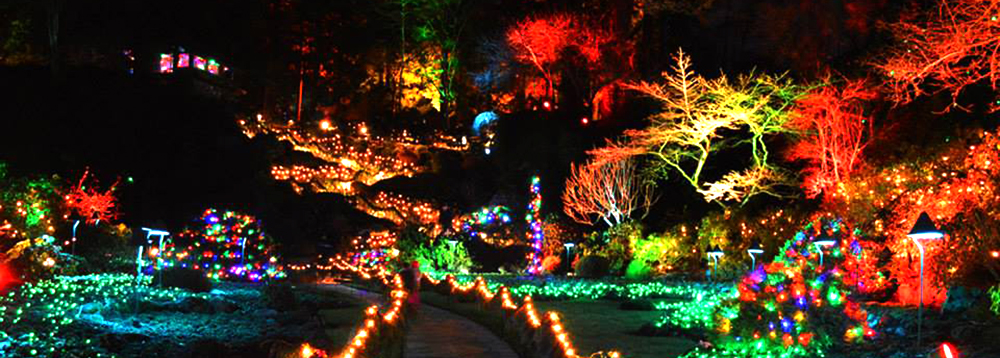 christmas magic lines christmas magic lines